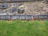 image of grave number 810214